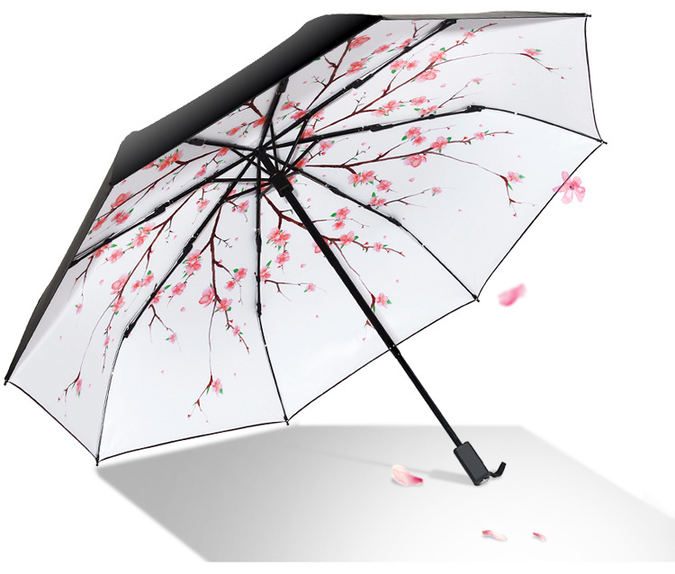 雨伞有什么特点与功能